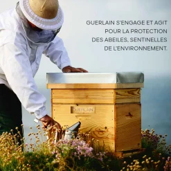 Abeille Royale