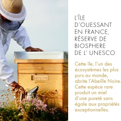 Abeille Royale