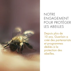 Abeille Royale