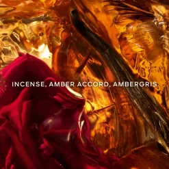 Absolus Allegoria Ambre Samar