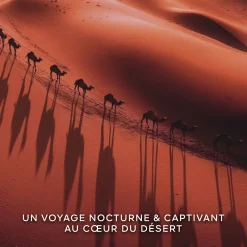 Absolus Allegoria Tabac Sahara