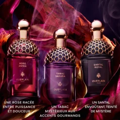Absolus Allegoria Tabac Sahara