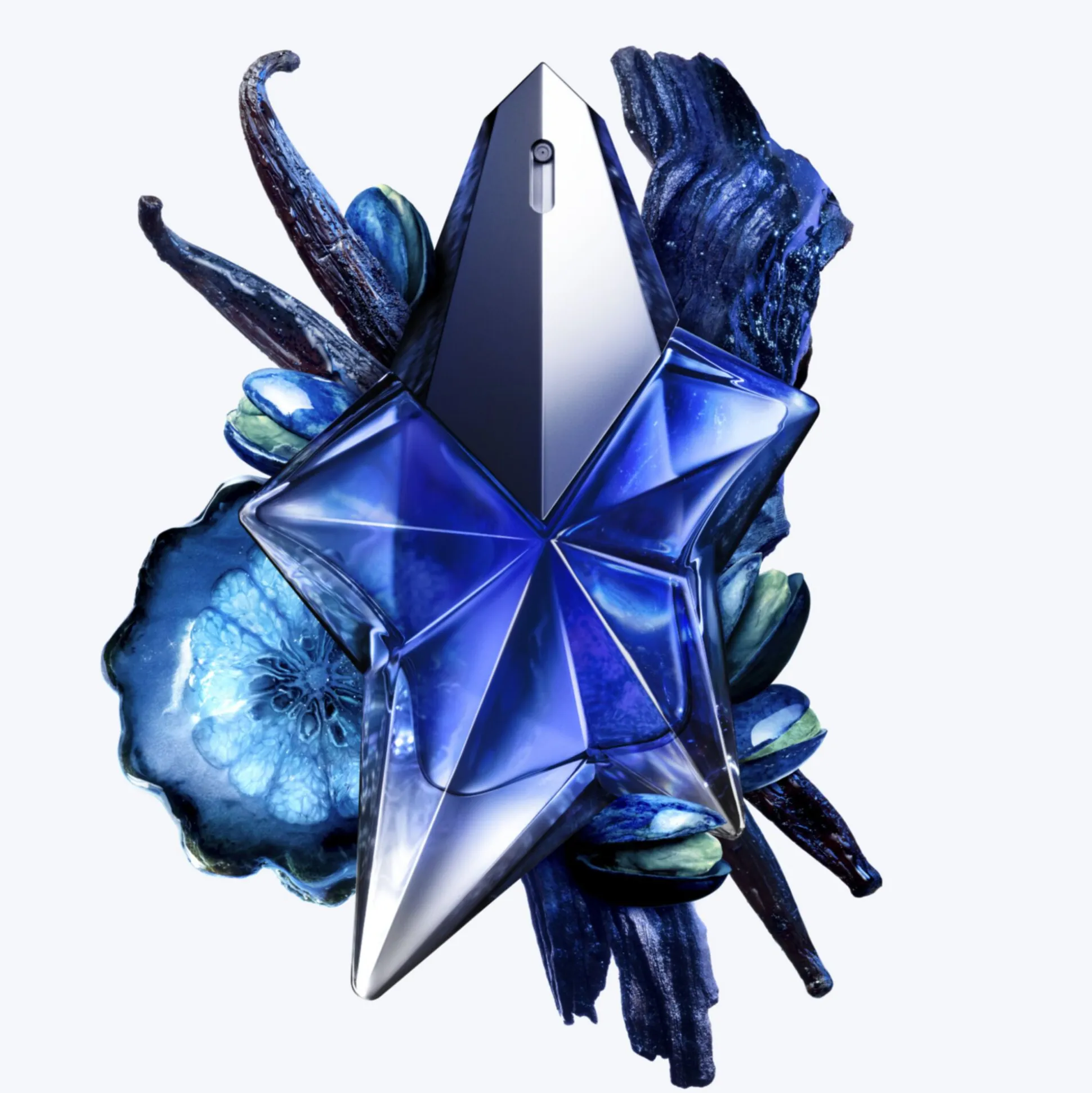 Angel Stellar