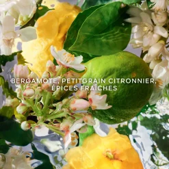 Aqua Allegoria