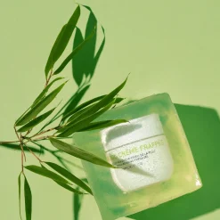 Bamboo Crème Frappée