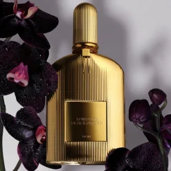 Black Orchid
