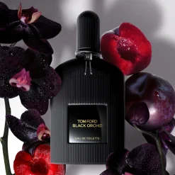 Black Orchid