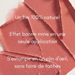 Blush Stick