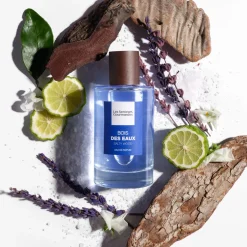 Bois Des Eaux