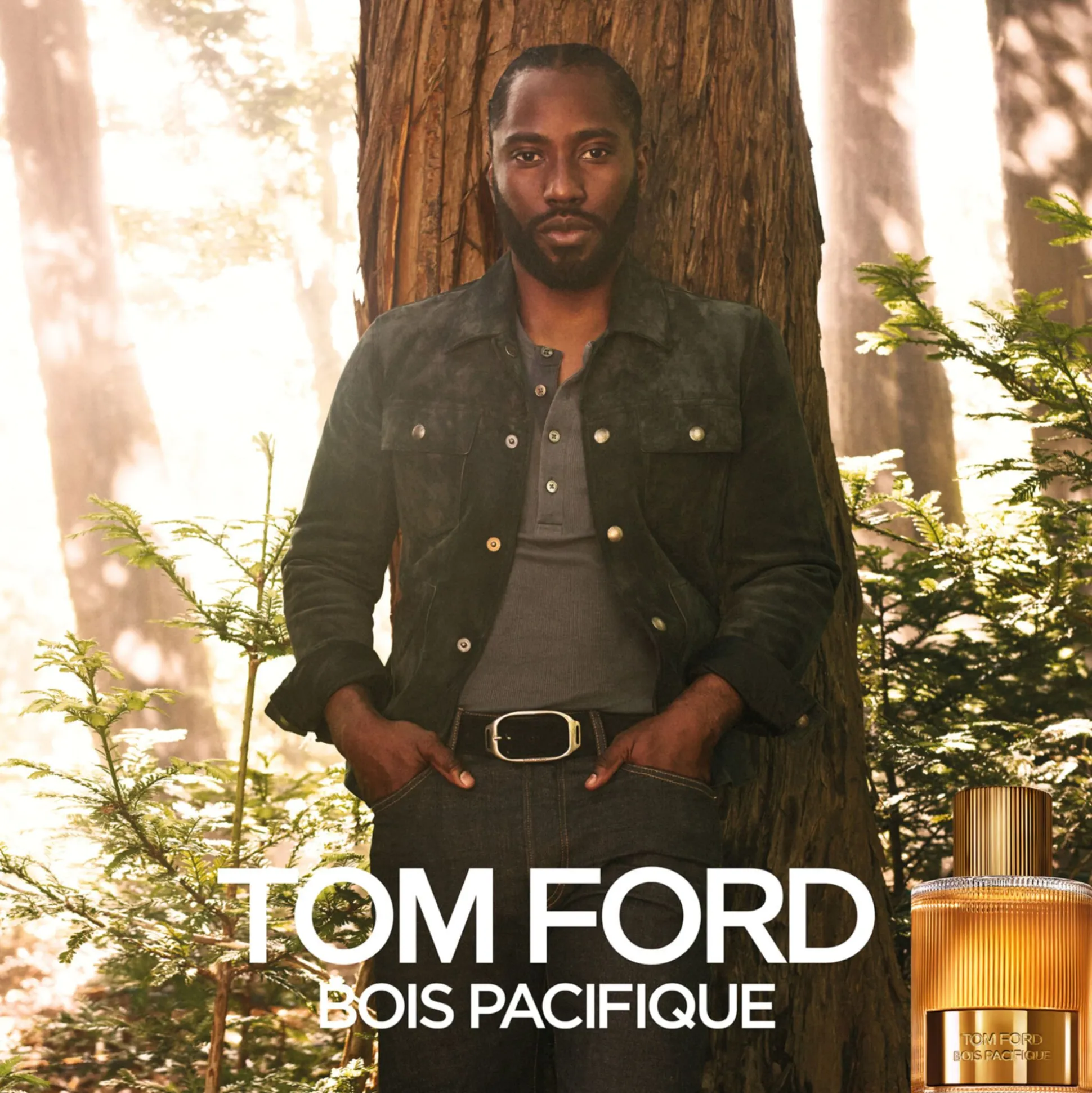 Bois Pacifique