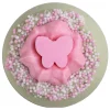 Bombe De Bain Butterfly
