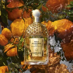 Coffret Aqua Allegoria Mandarine Basilic