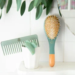 Coffret Trio Eucalyptus Brillance