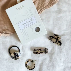 Coffret Trésors Écailles