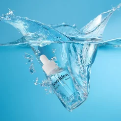 Dive In