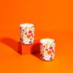 Eté à Syracuse - Fleur D'oranger