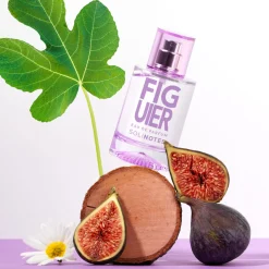 Figuier