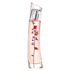 Flower Ikebana By Kenzo