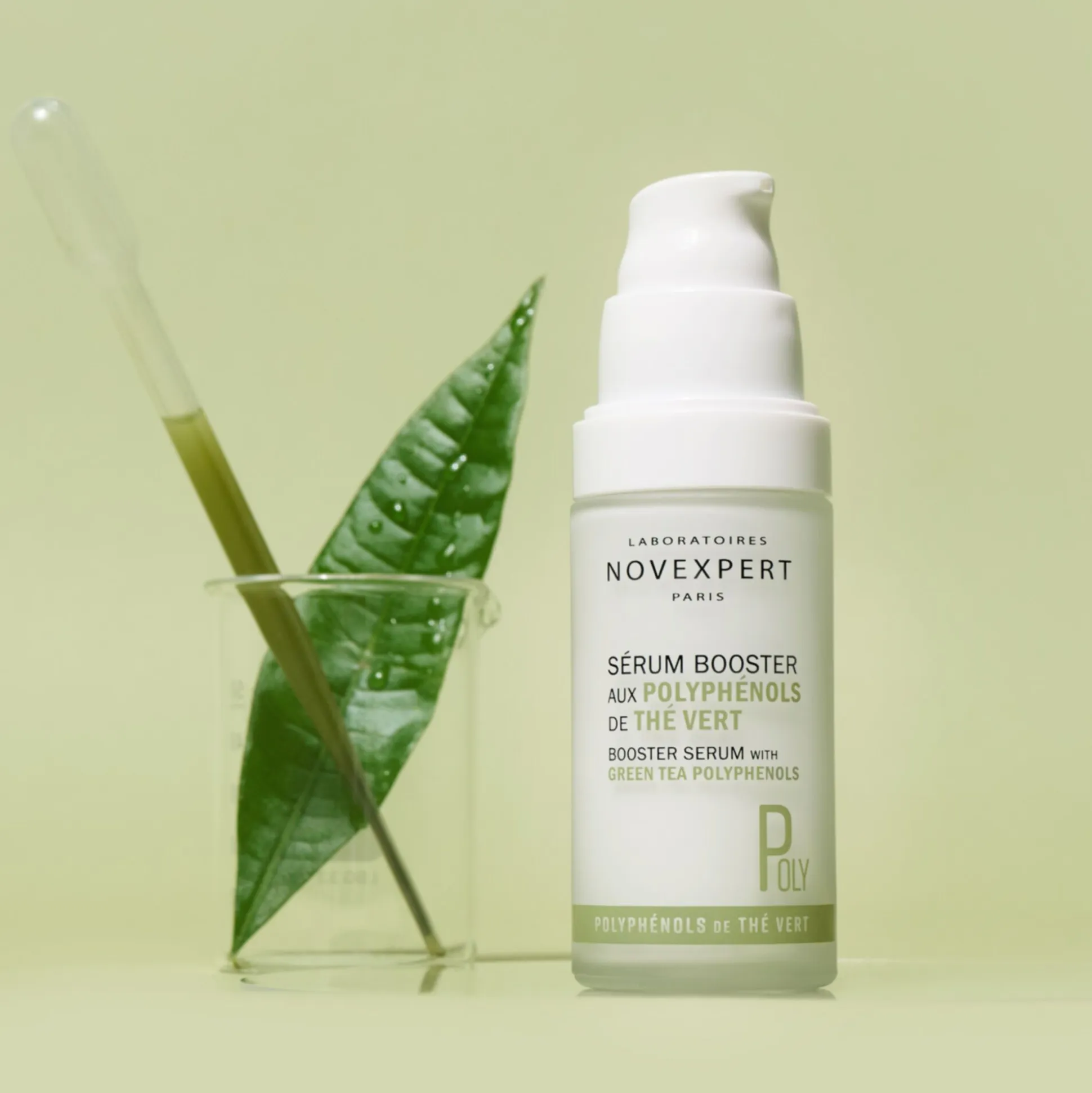 Gamme Polyphenols De Thé Vert