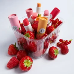Gingembre Rouge