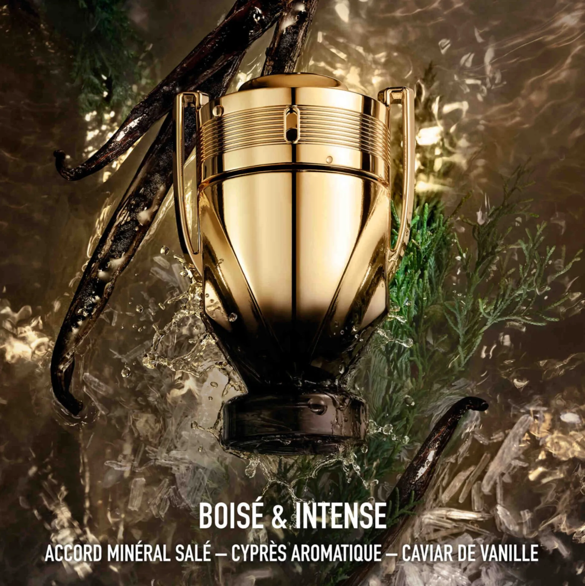 Invictus Elixir