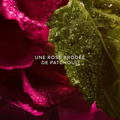 La Petite Robe Noire