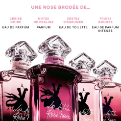 La Petite Robe Noire