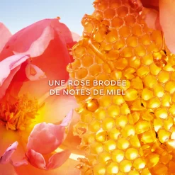 La Petite Robe Noire Honey Rose - Édition Limitée