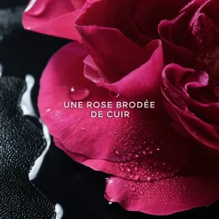 La Petite Robe Noire - Rose Noire