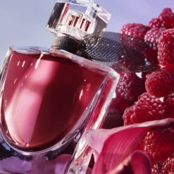 La Vie Est Belle L'elixir