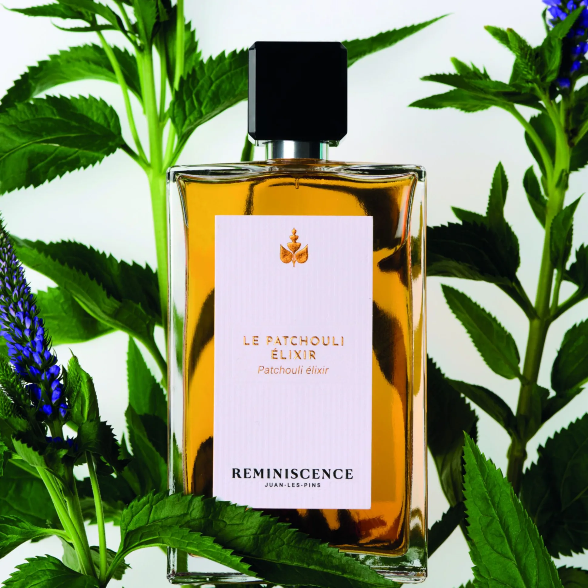 Le Patchouli Élixir