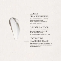 Lisse