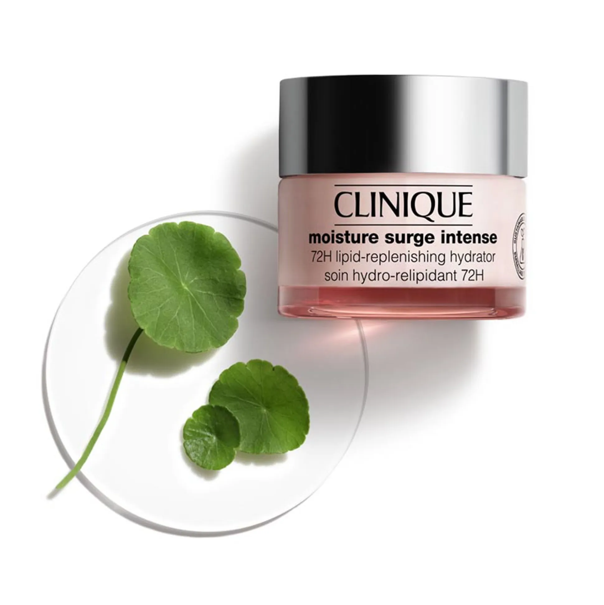 Moisture Surge Intense
