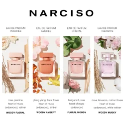 Narciso