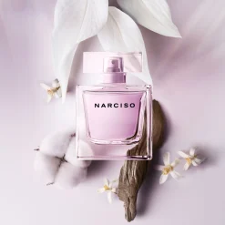 Narciso