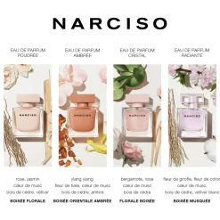 Narciso