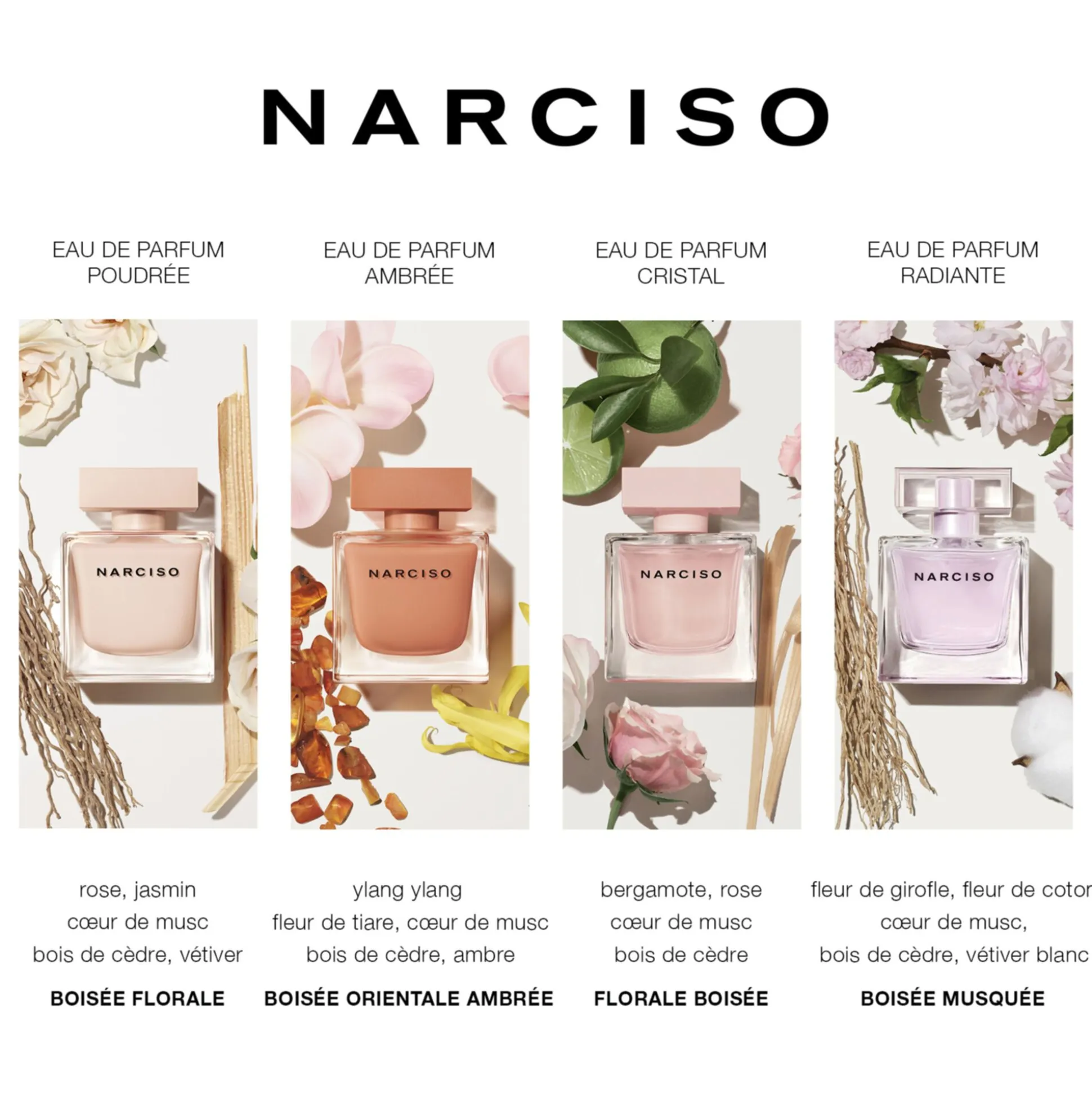 Narciso