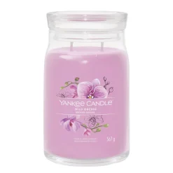 Orchidée Sauvage
