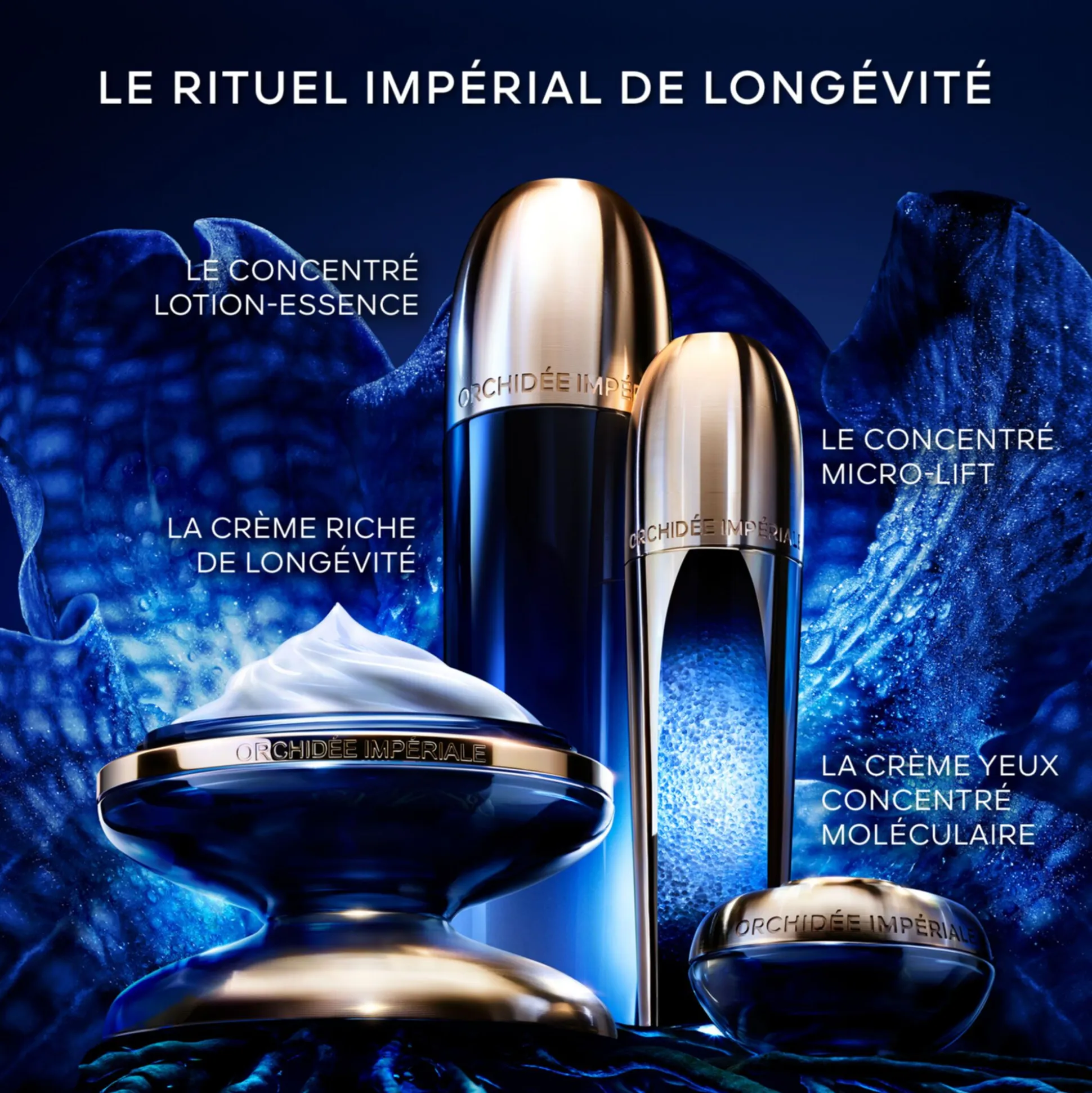 Orchidée Impériale