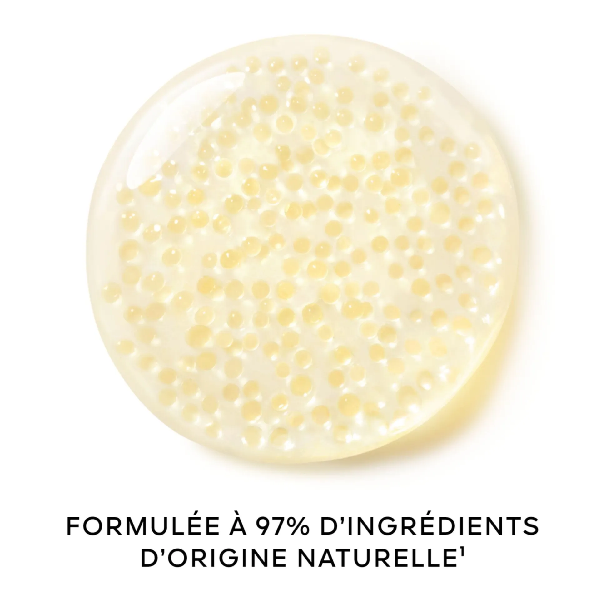 Orchidée Impériale Gold Nobile