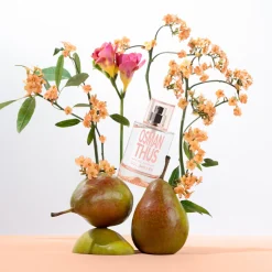 Osmanthus