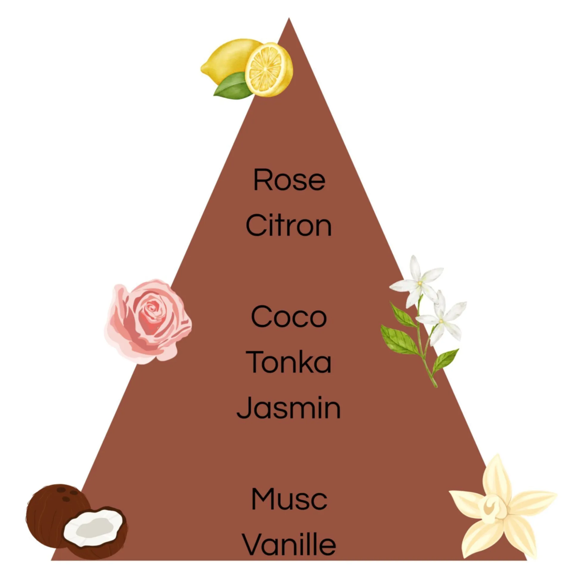 Rituel D'argan