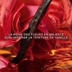 Shalimar Millésime Rose