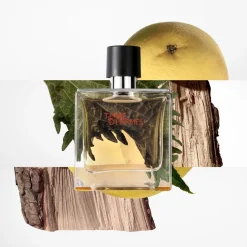 Terre D'hermès