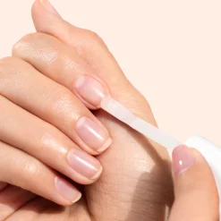 Vernis Amer