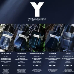 Y